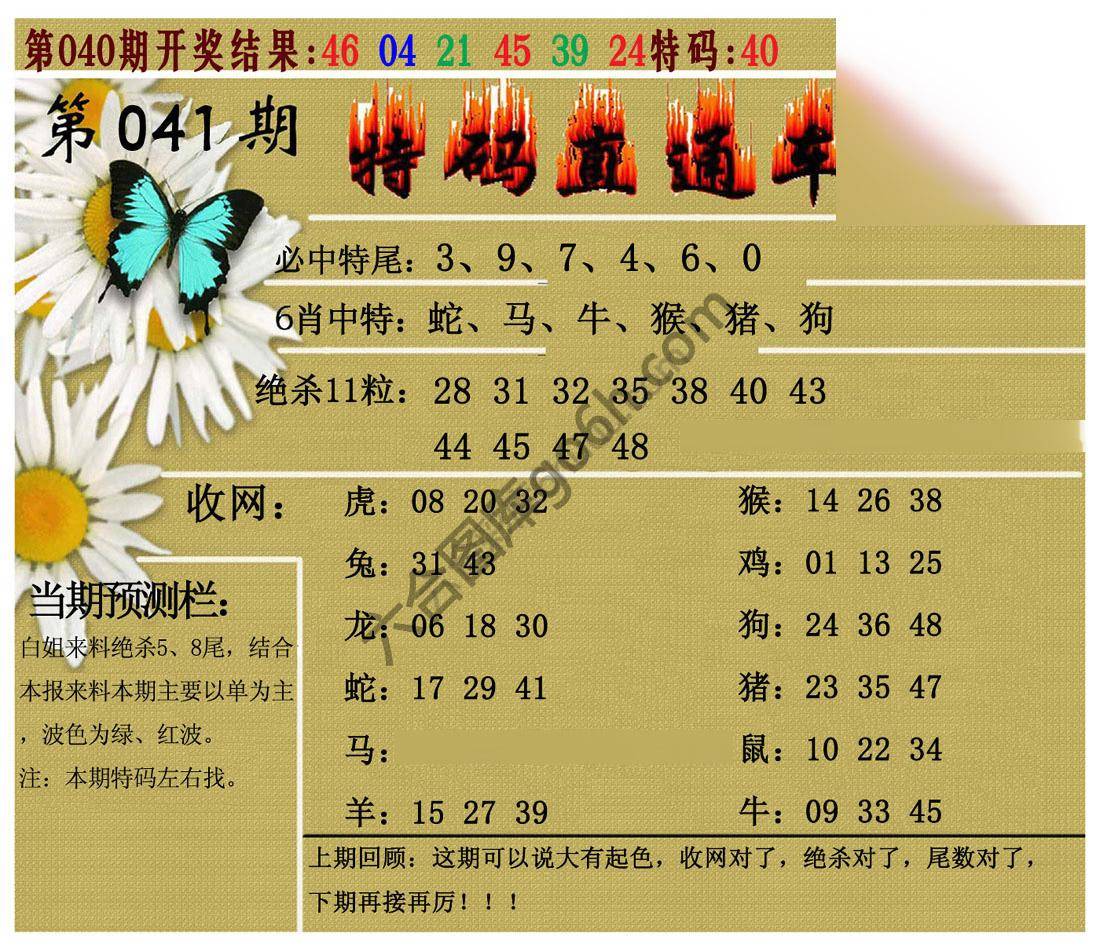 特码直通车