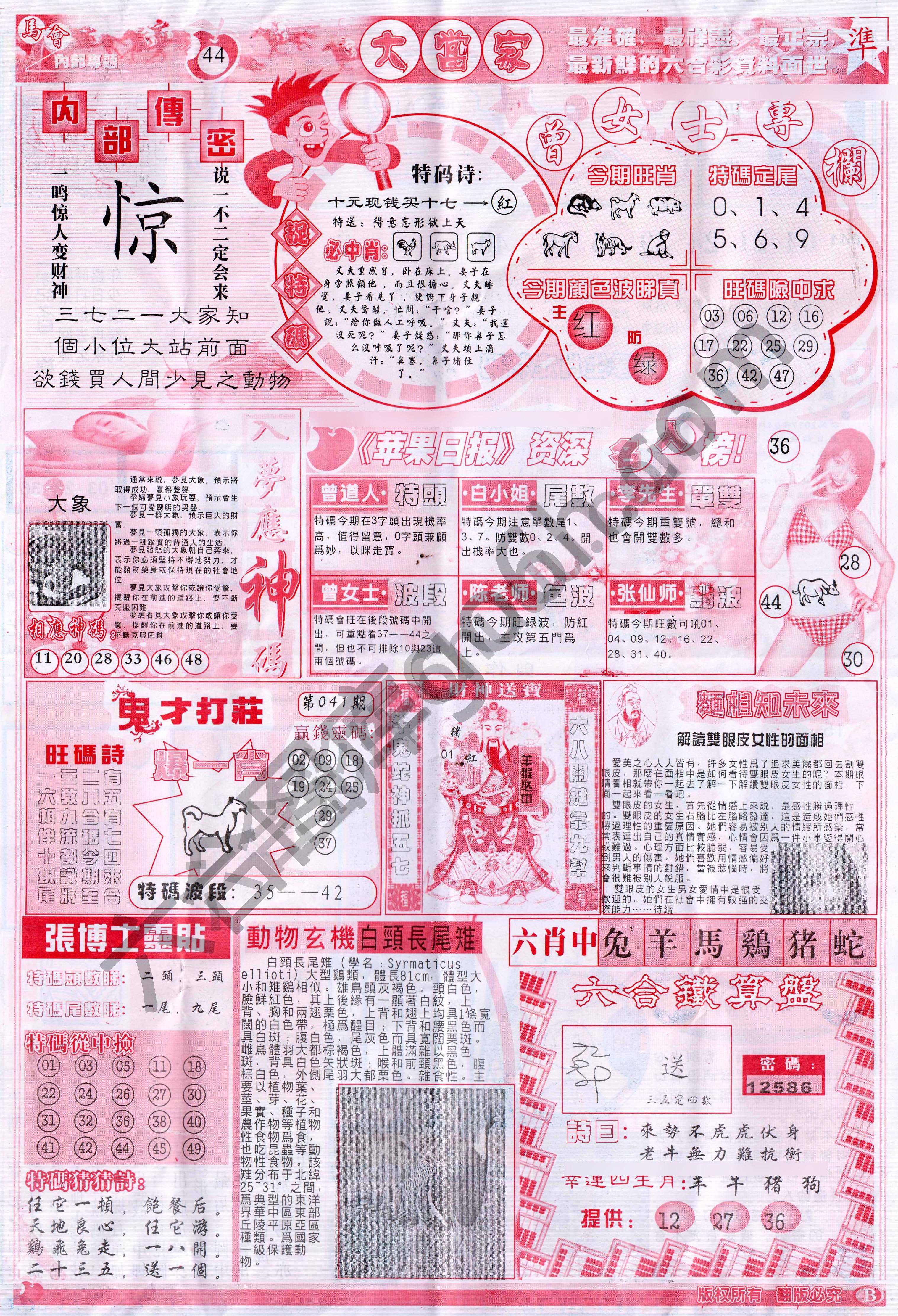 大当家