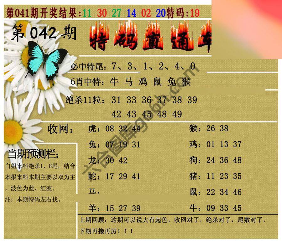 特码直通车