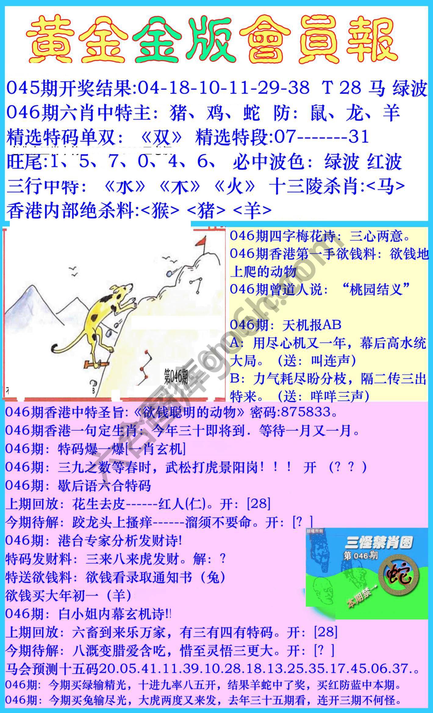黄金金版会员报