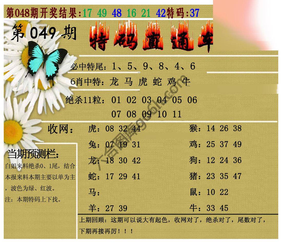特码直通车
