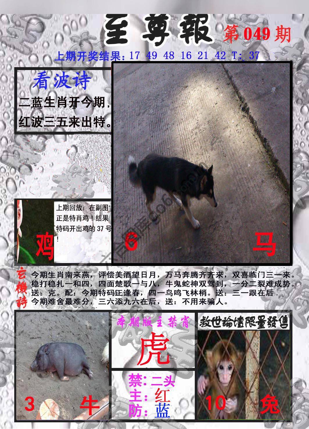 至尊报