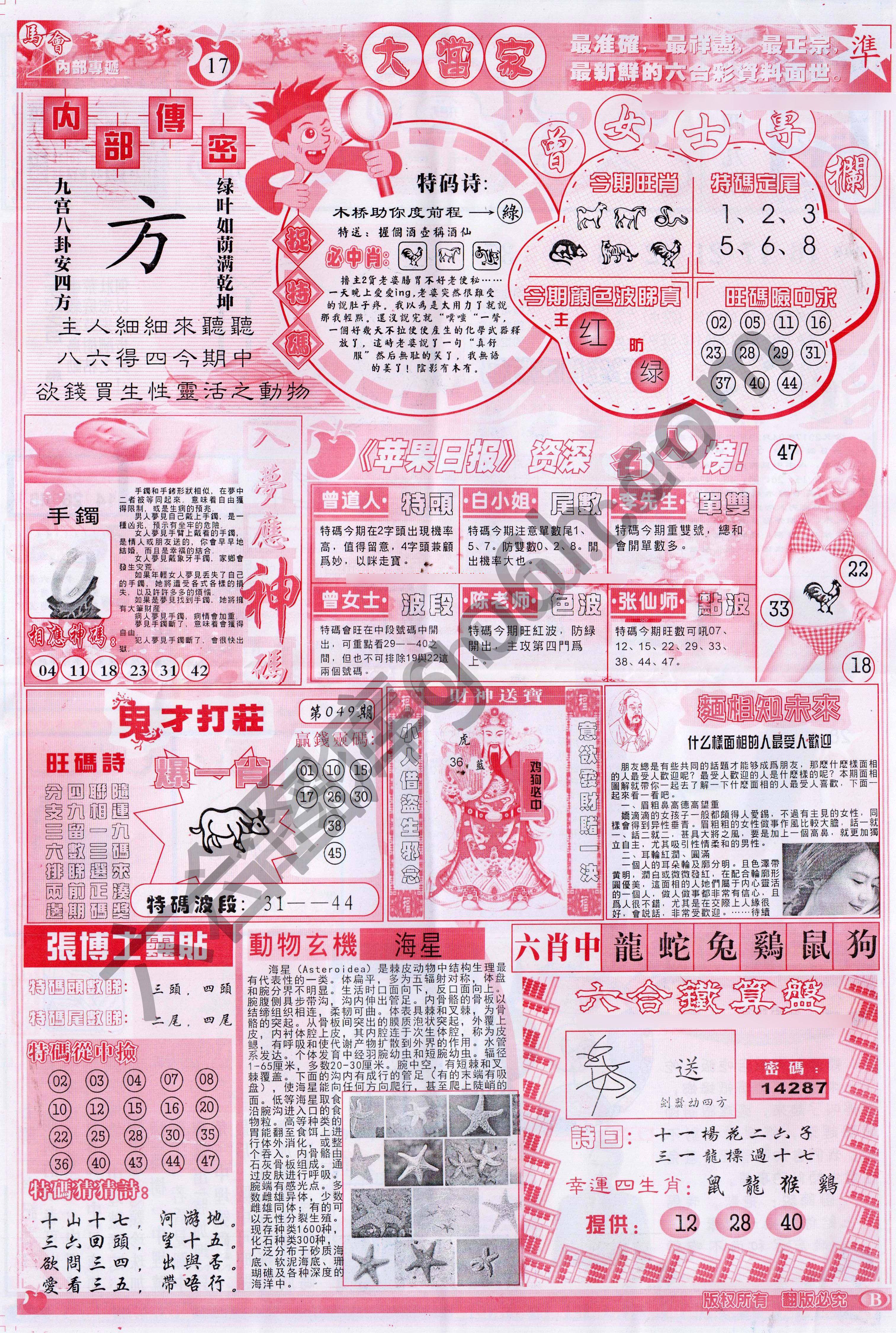 大当家