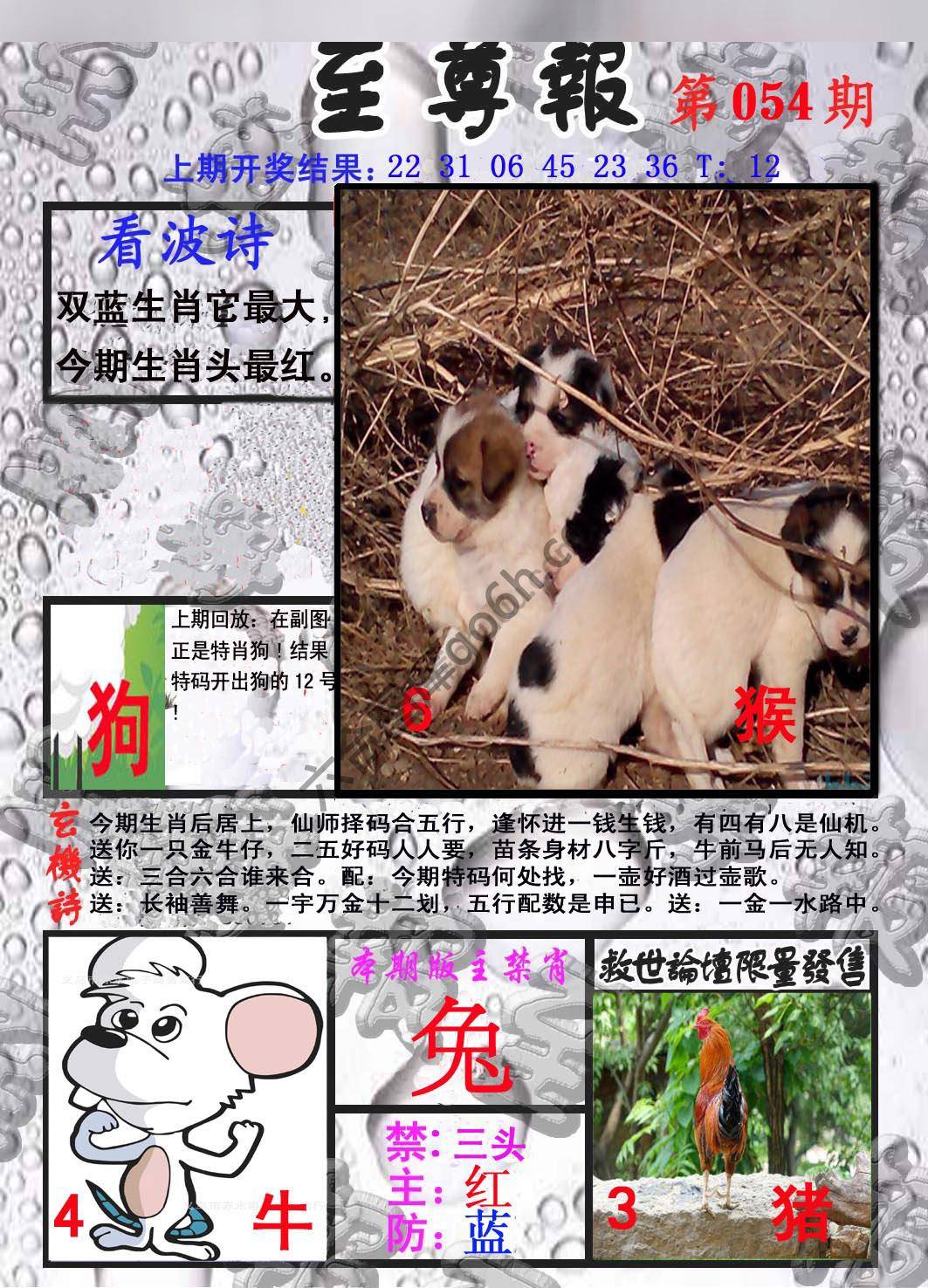 至尊报