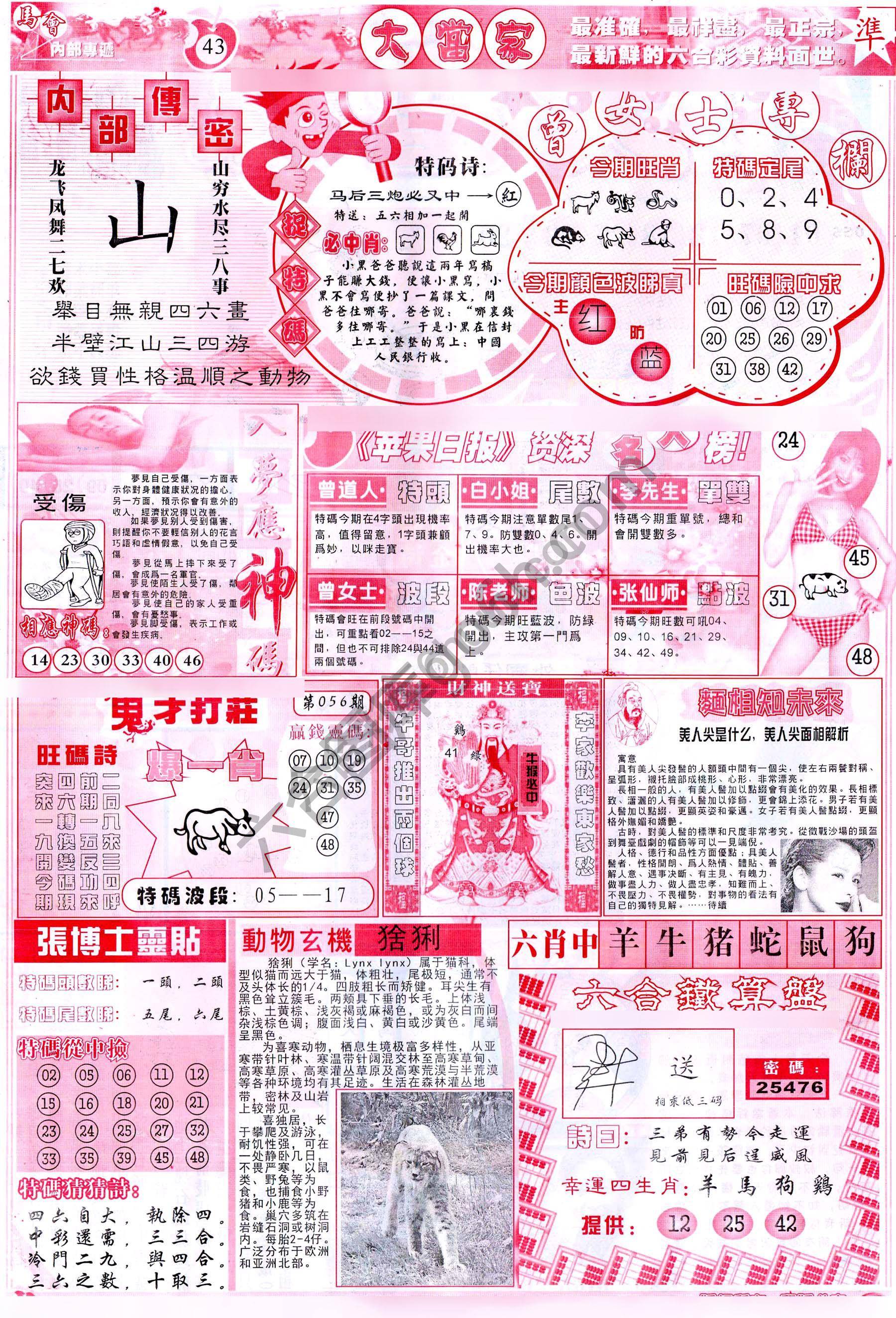 大当家