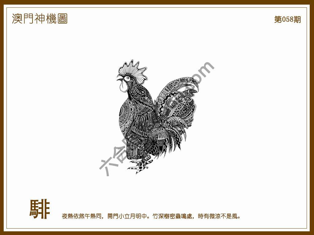 澳门神机图