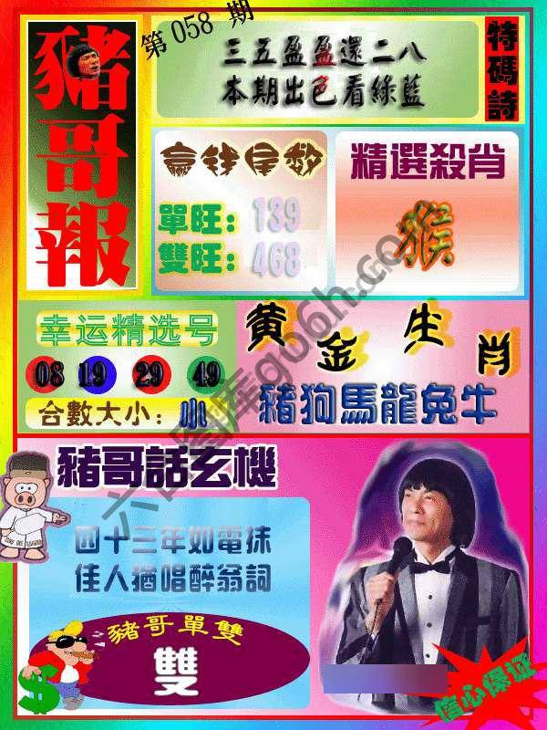 猪哥报
