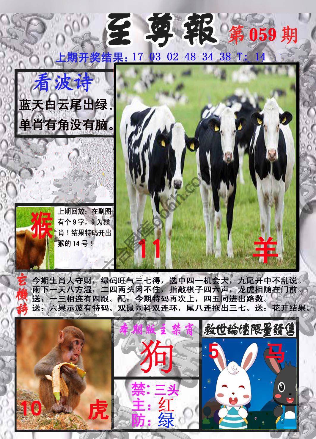 至尊报