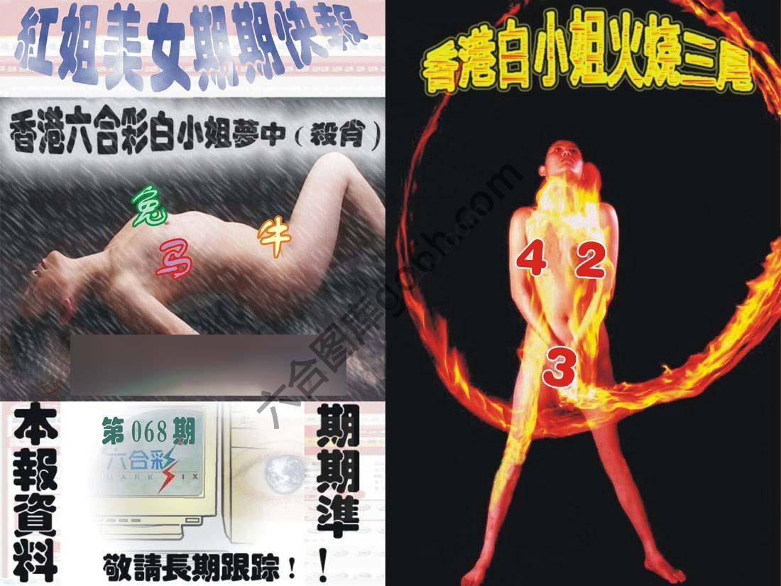 环球美女特码报