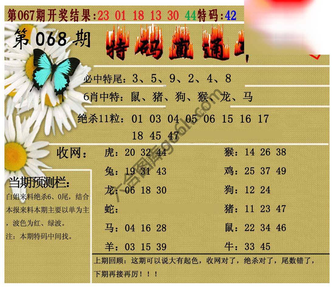 特码直通车