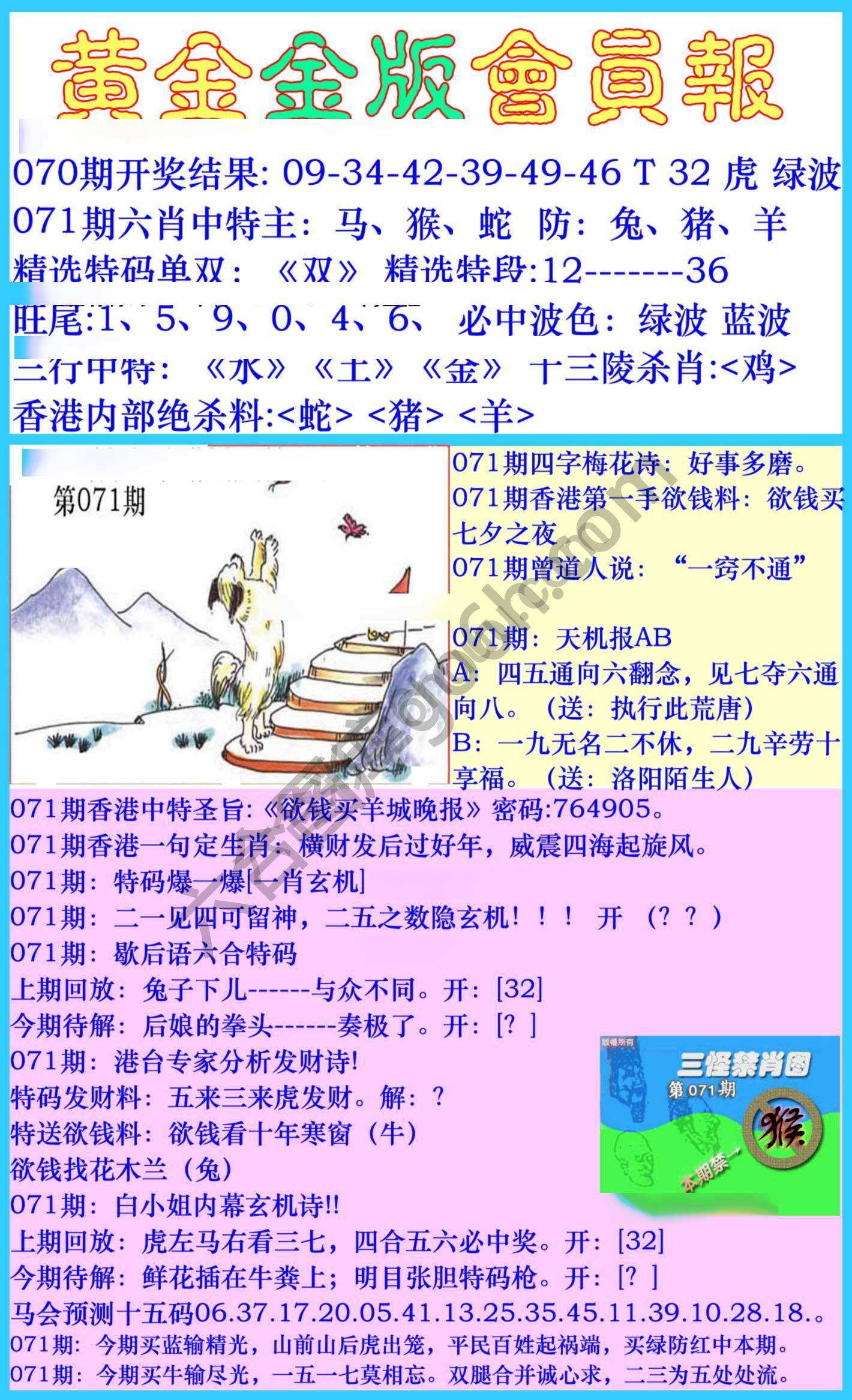 黄金金版会员报
