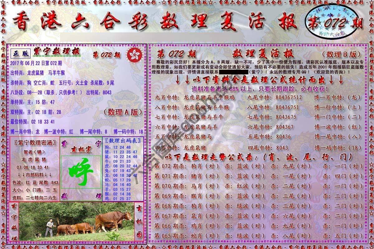 数理复活报