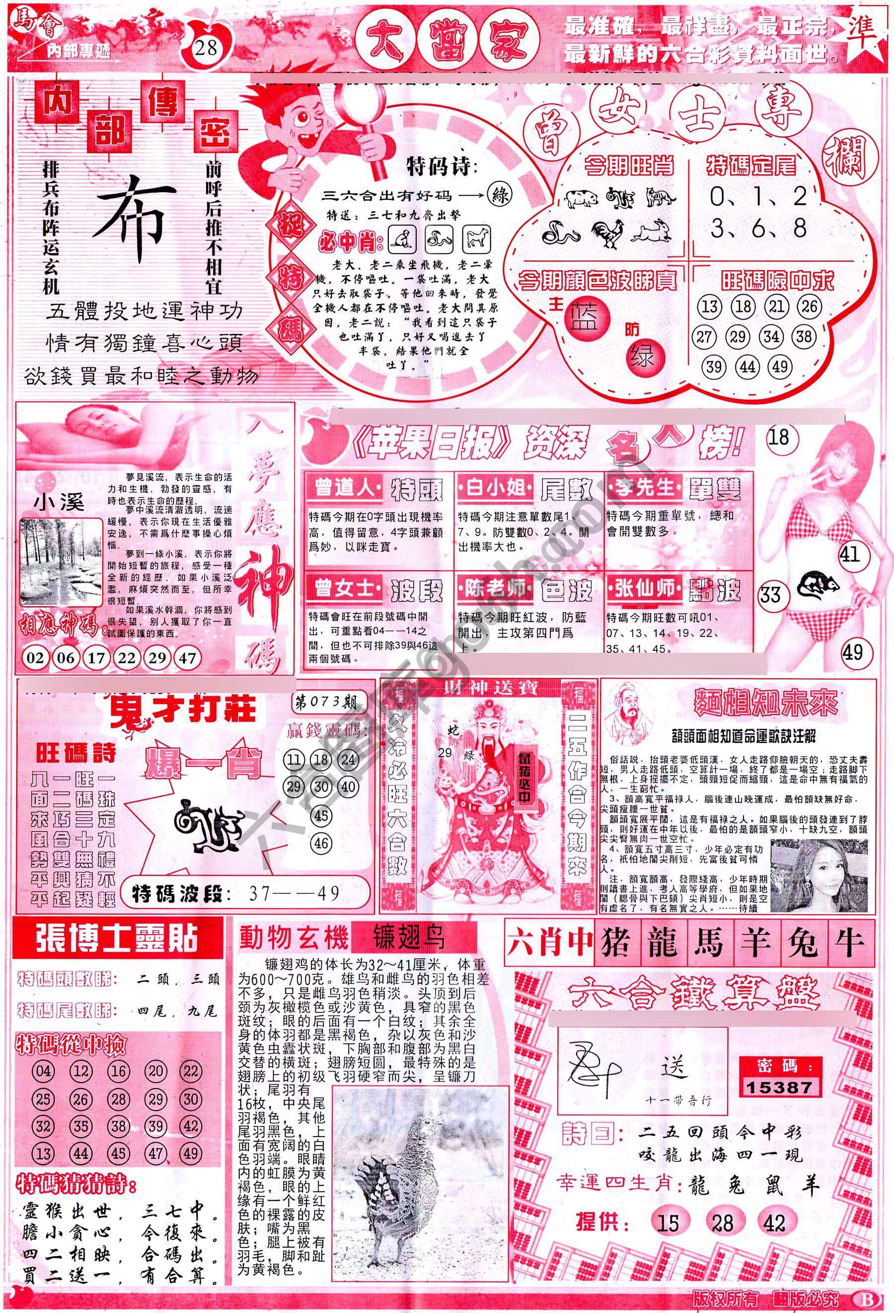 大当家