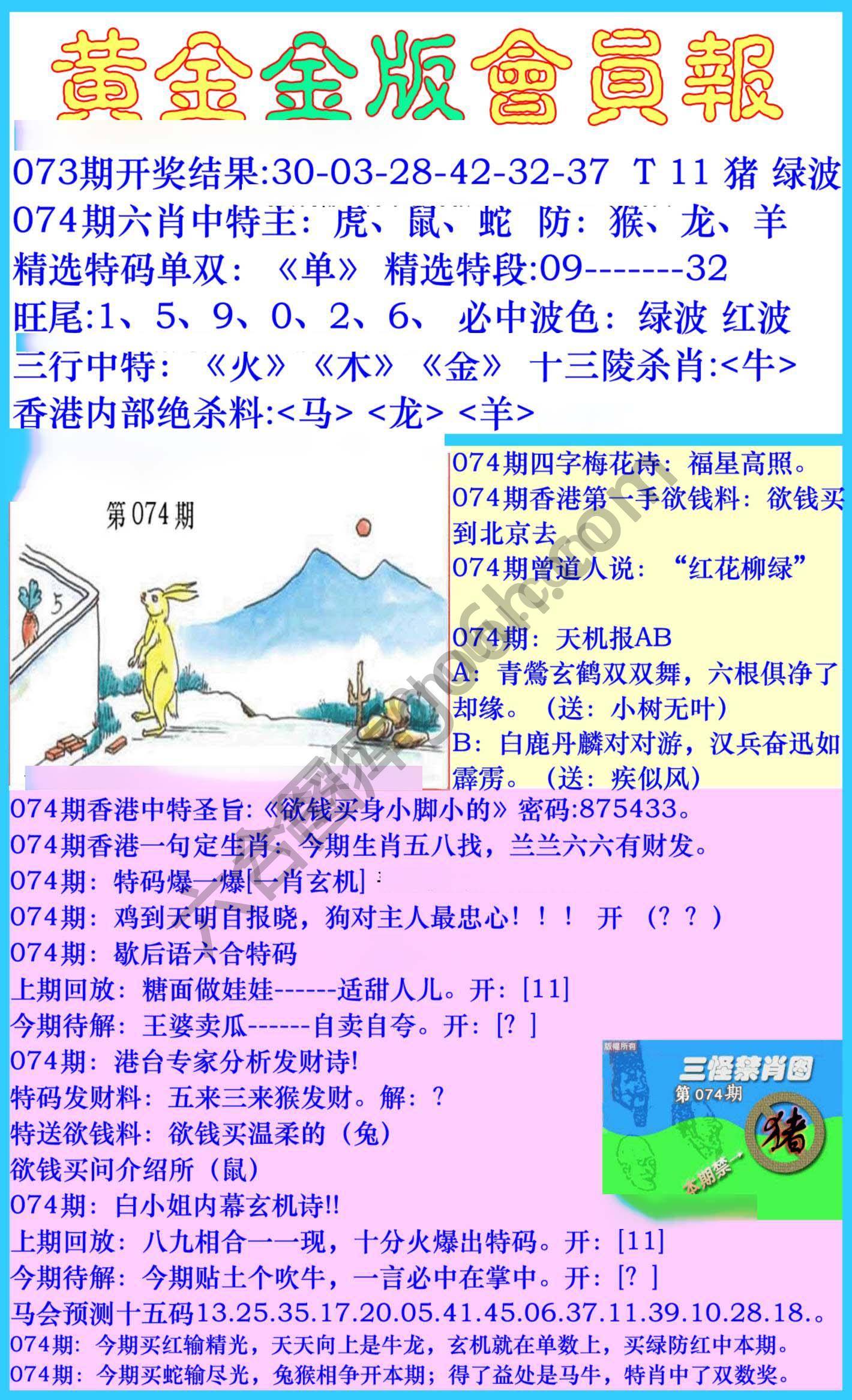 黄金金版会员报