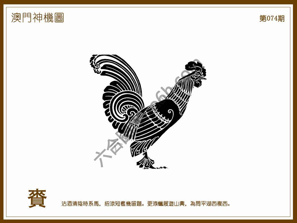 澳门神机图