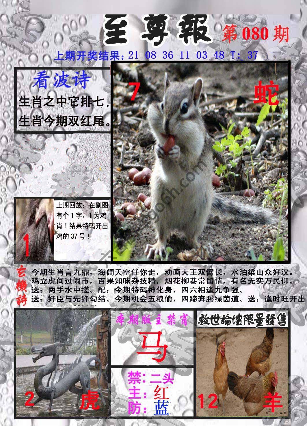 至尊报