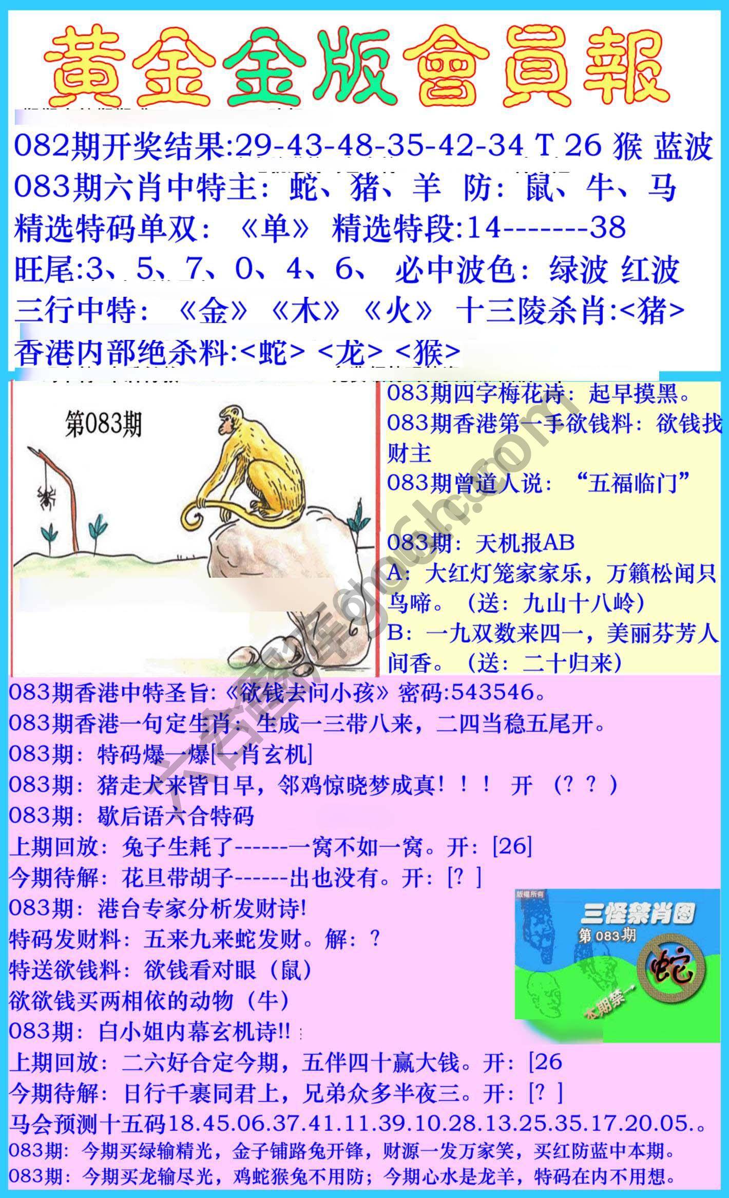 黄金金版会员报