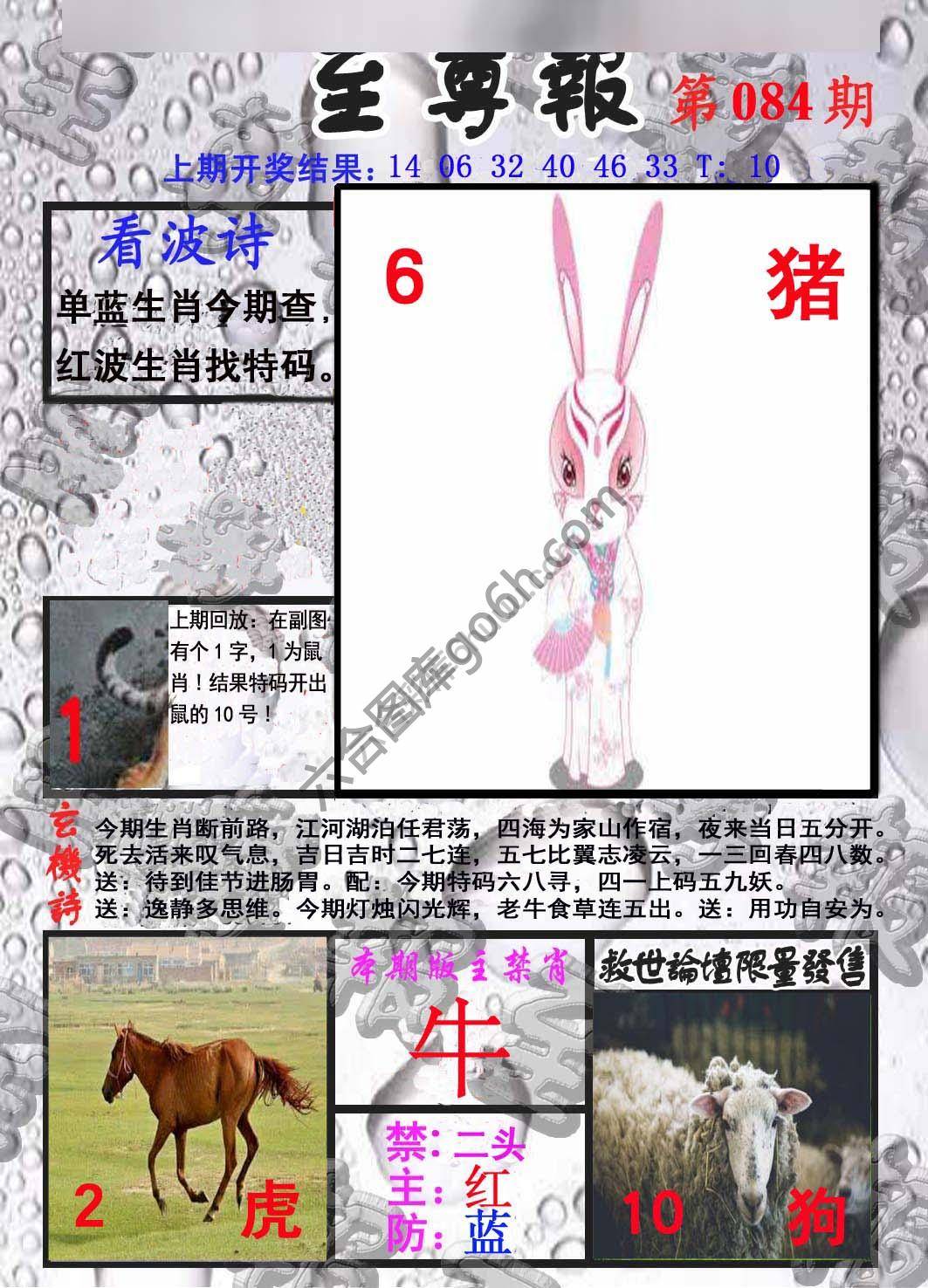 至尊报