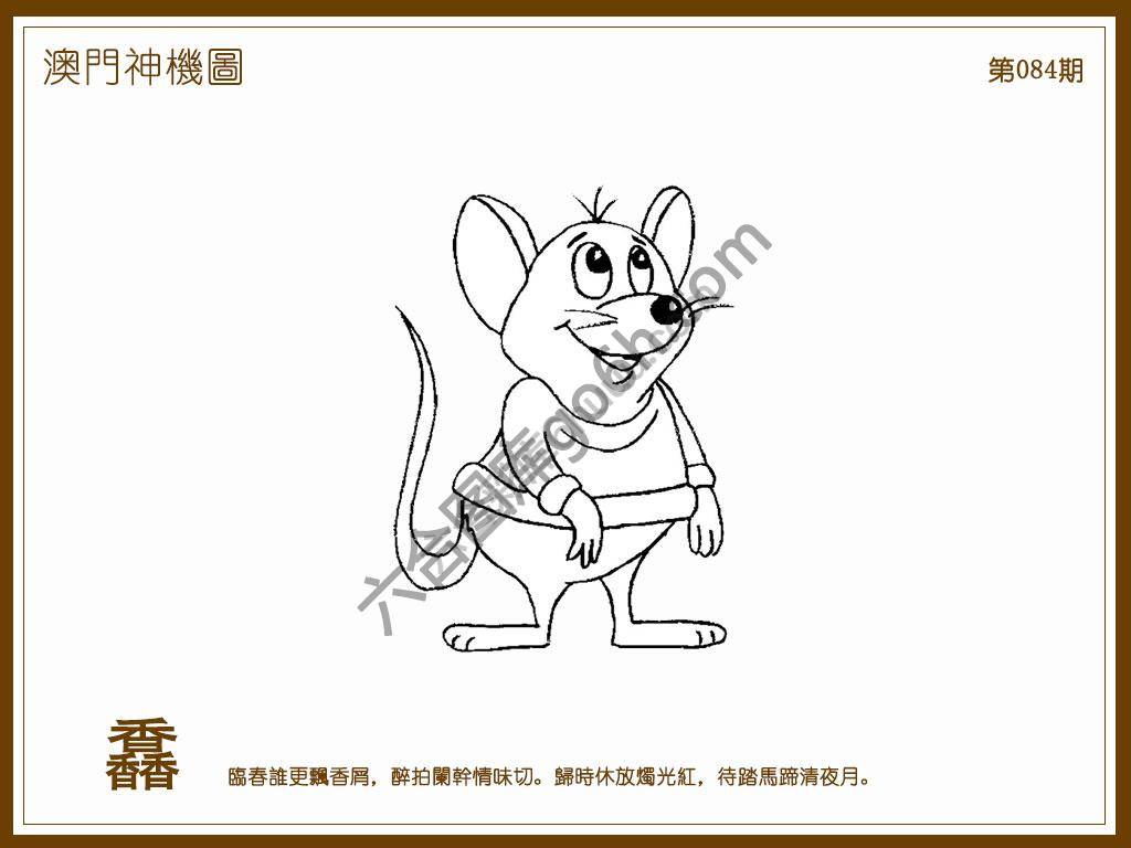 澳门神机图