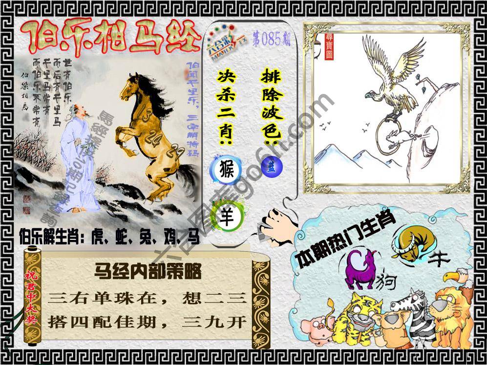 伯乐相马经