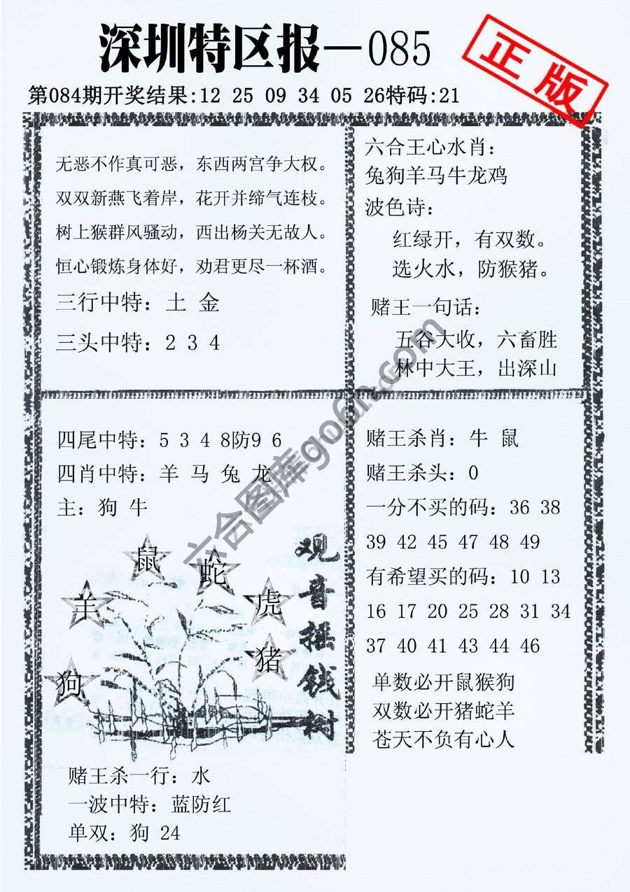 深圳特区报
