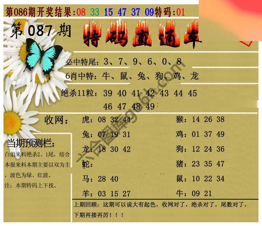 特码直通车