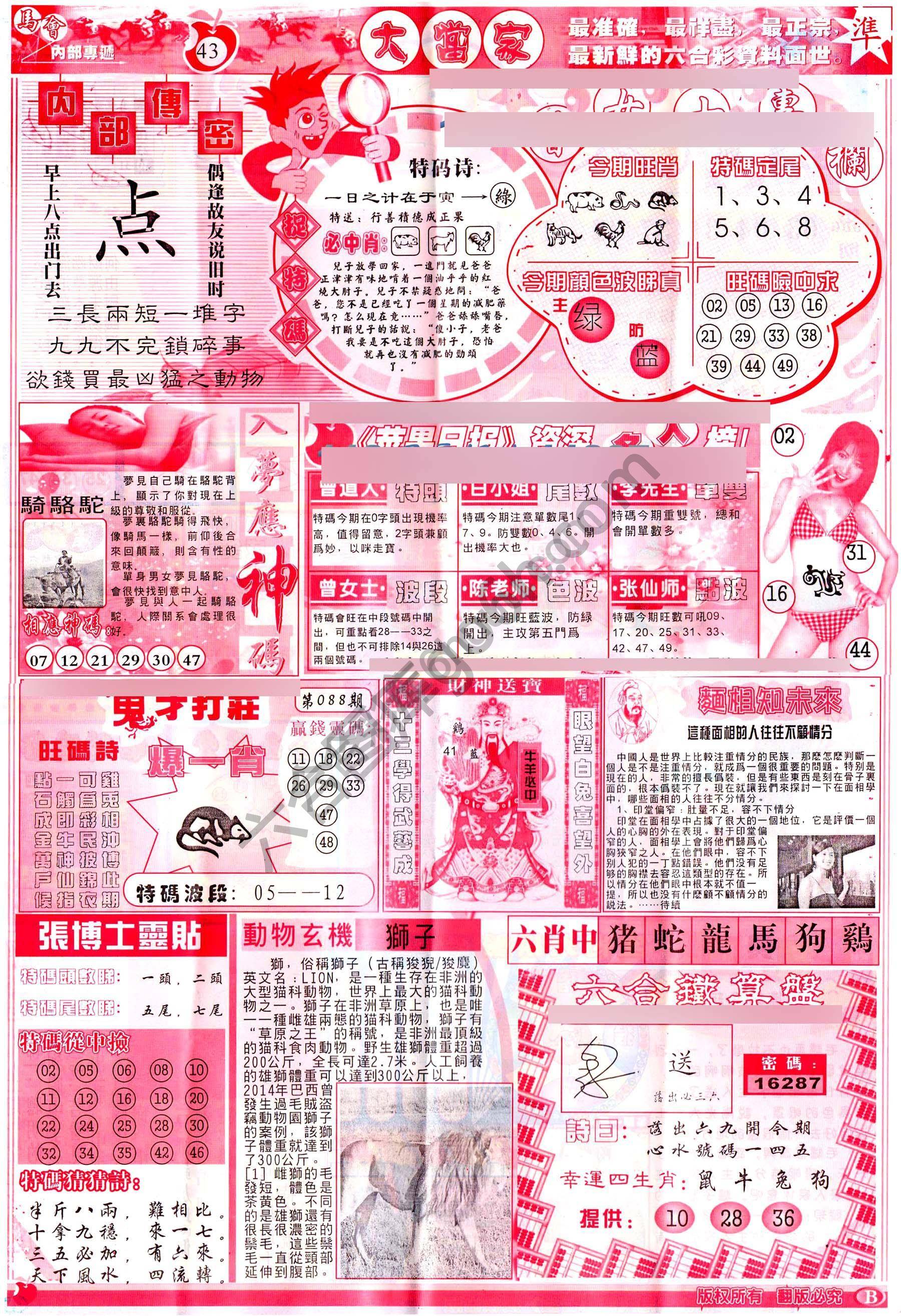 大当家