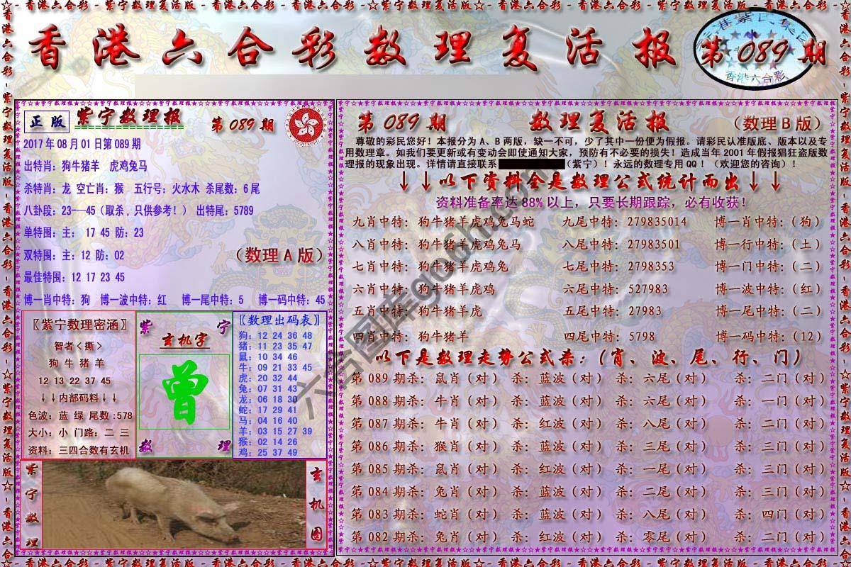 数理复活报