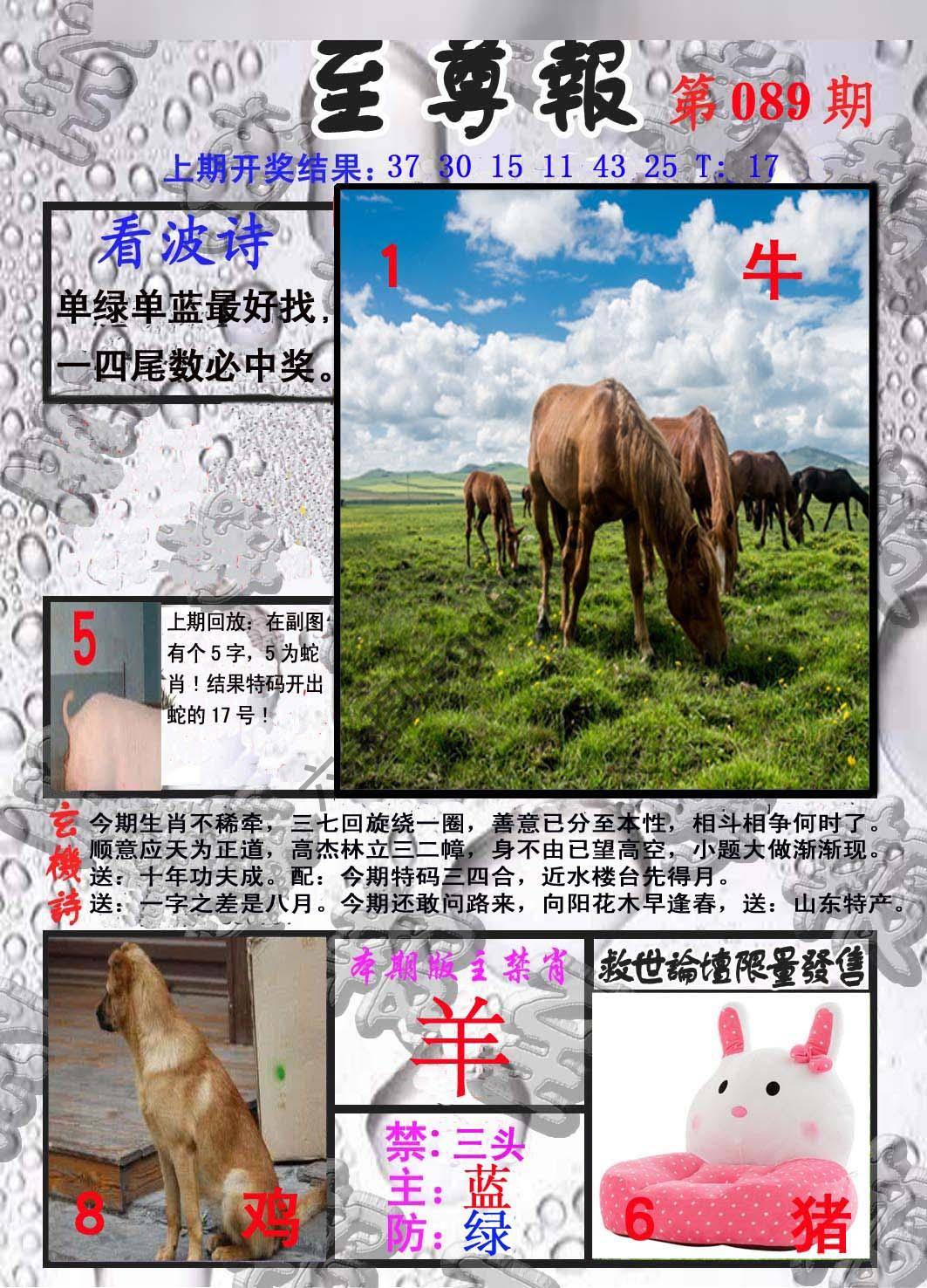 至尊报