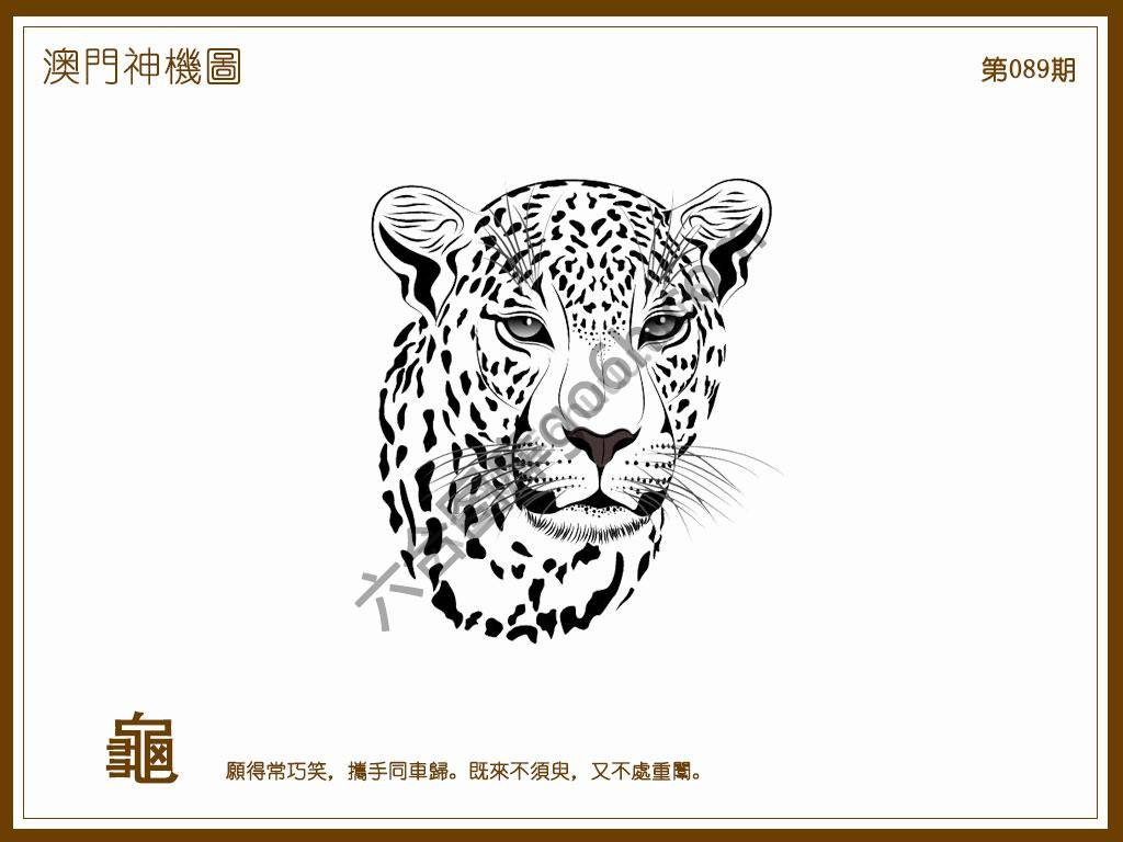 澳门神机图
