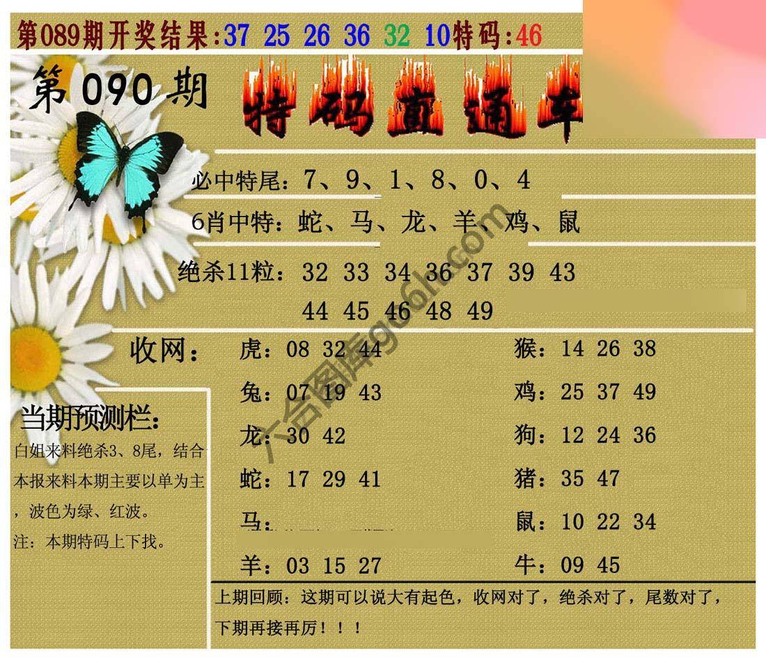 特码直通车