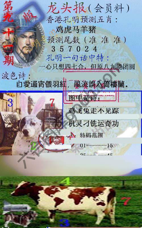 龙头报