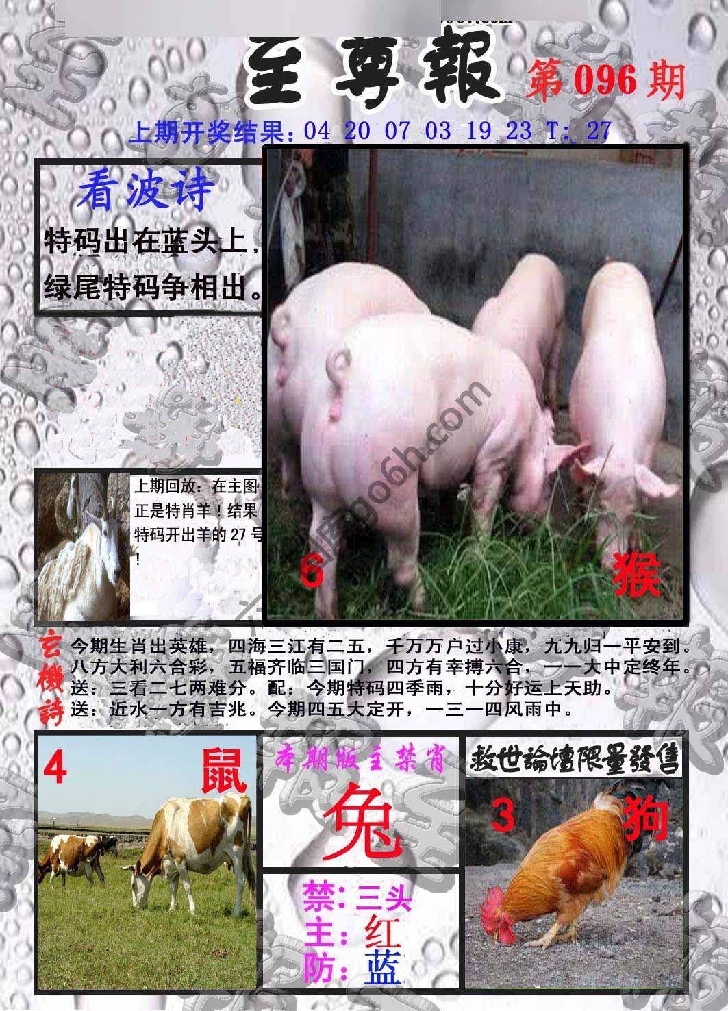 至尊报