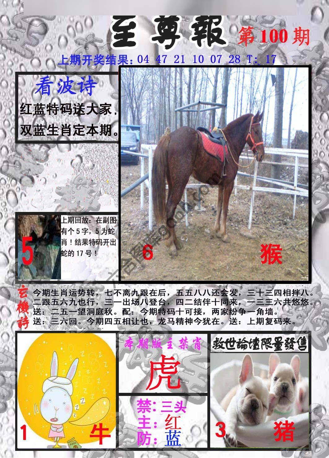 至尊报