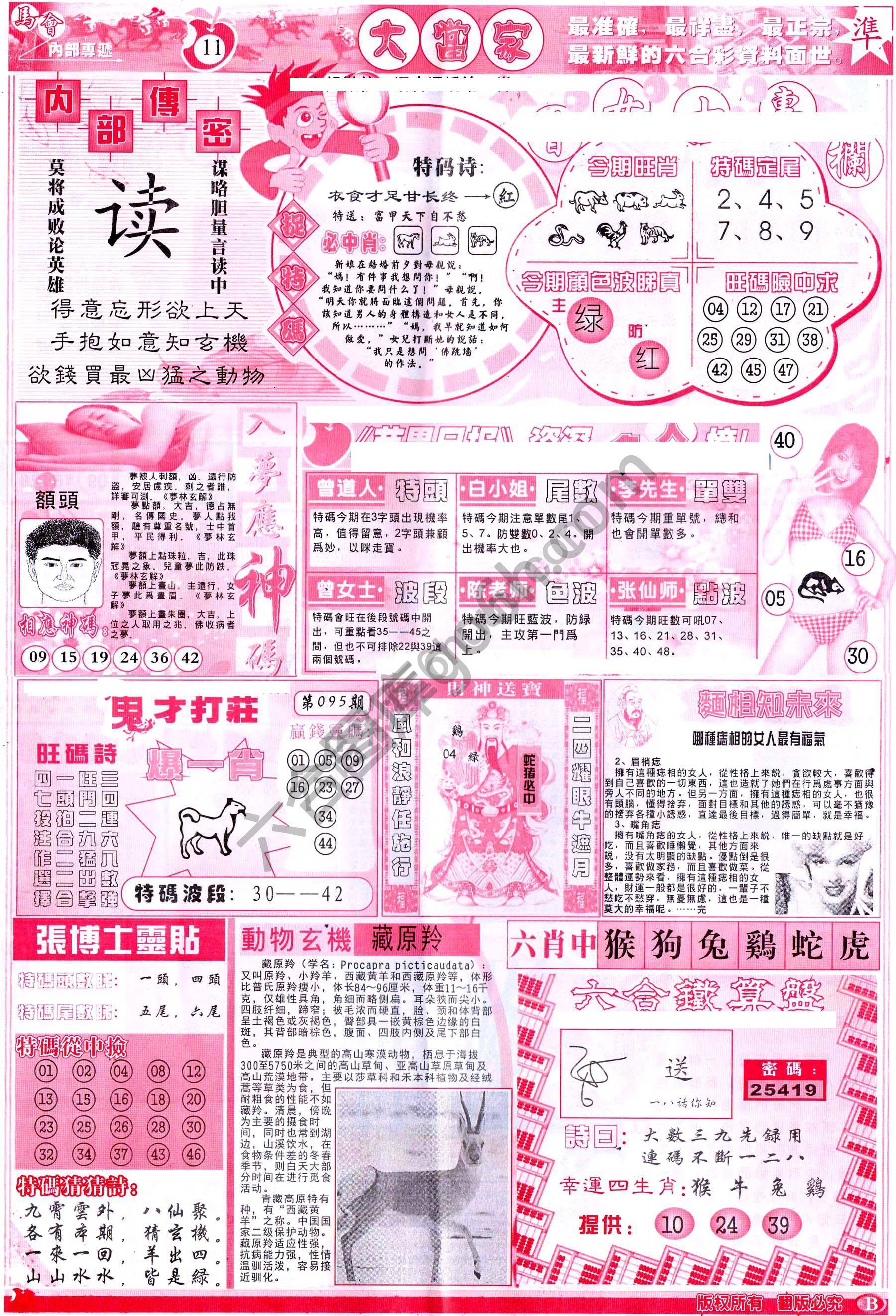大当家