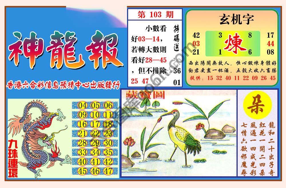 蓝月亮神龙报