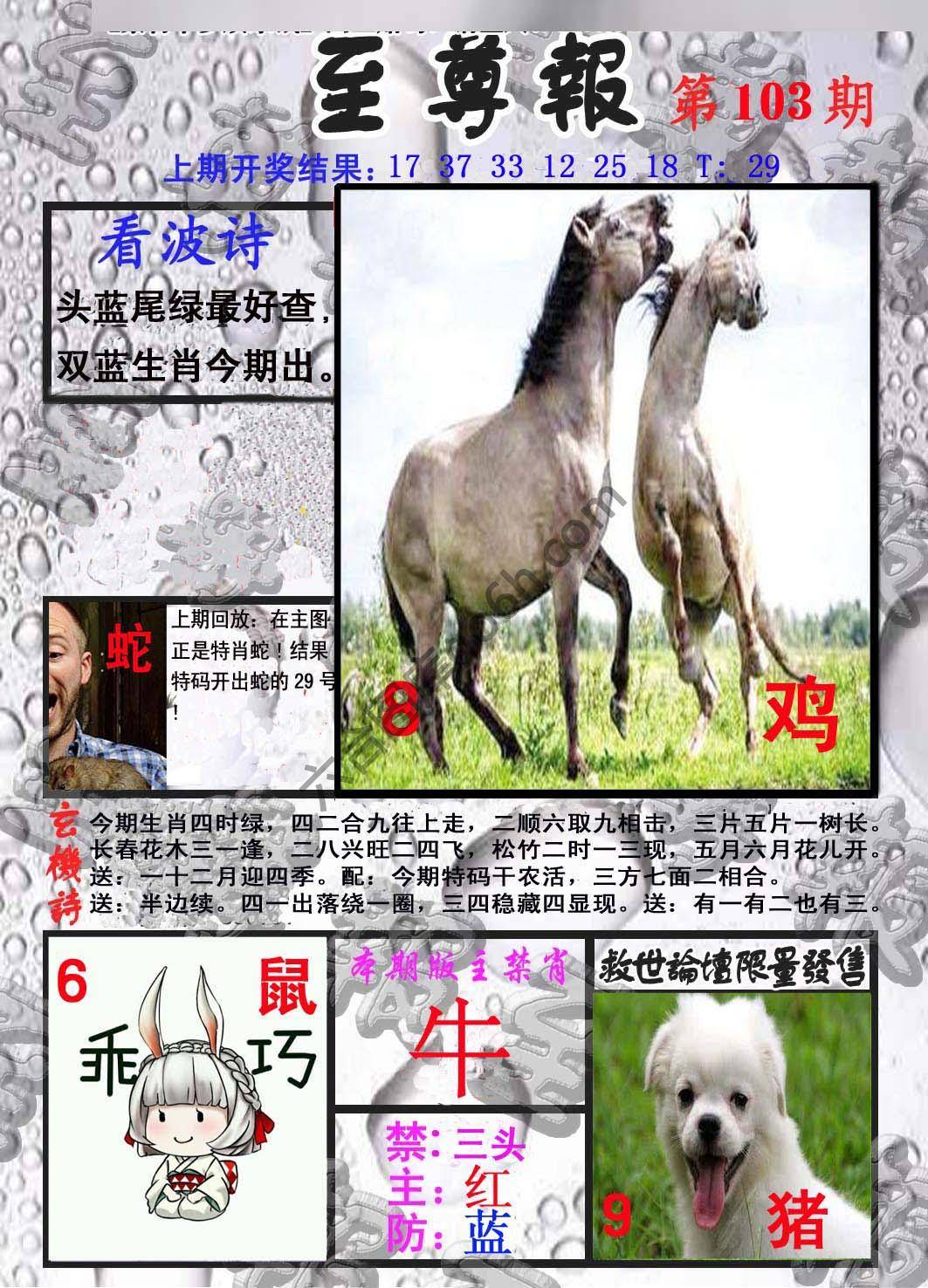 至尊报