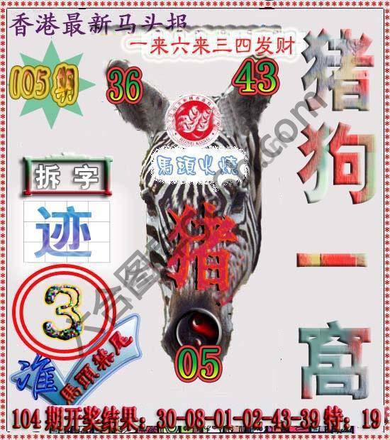 香港马头报