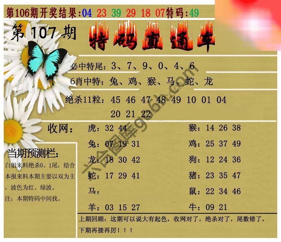 特码直通车