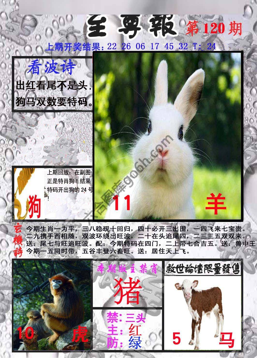 至尊报