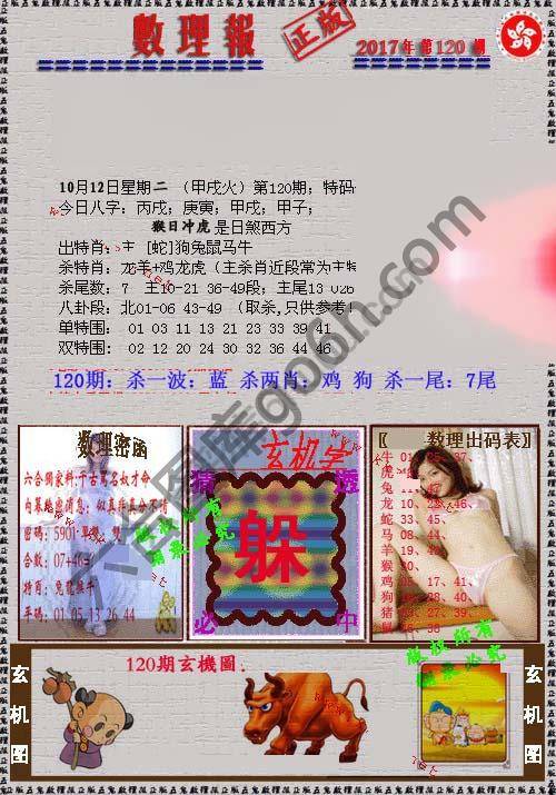 数理报