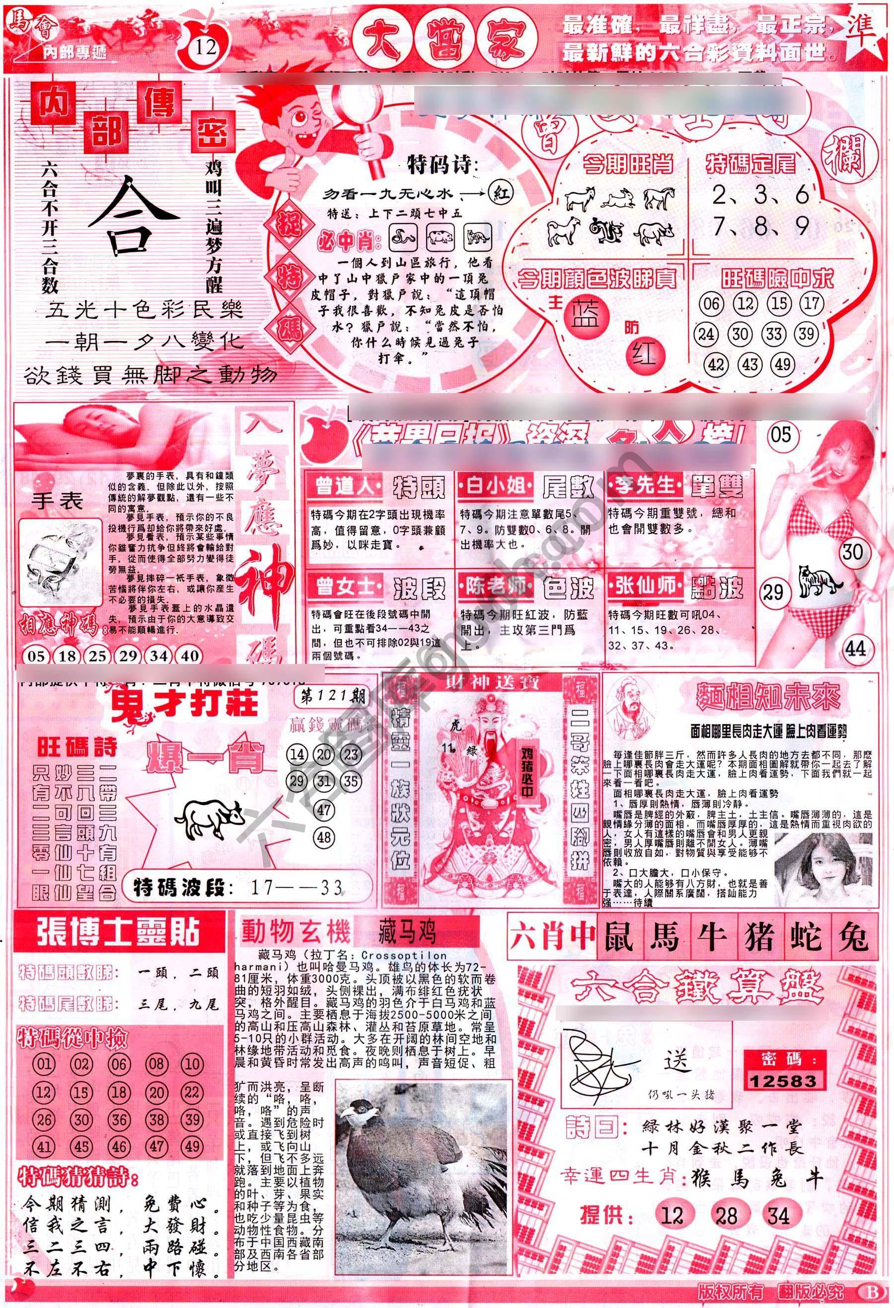 大当家