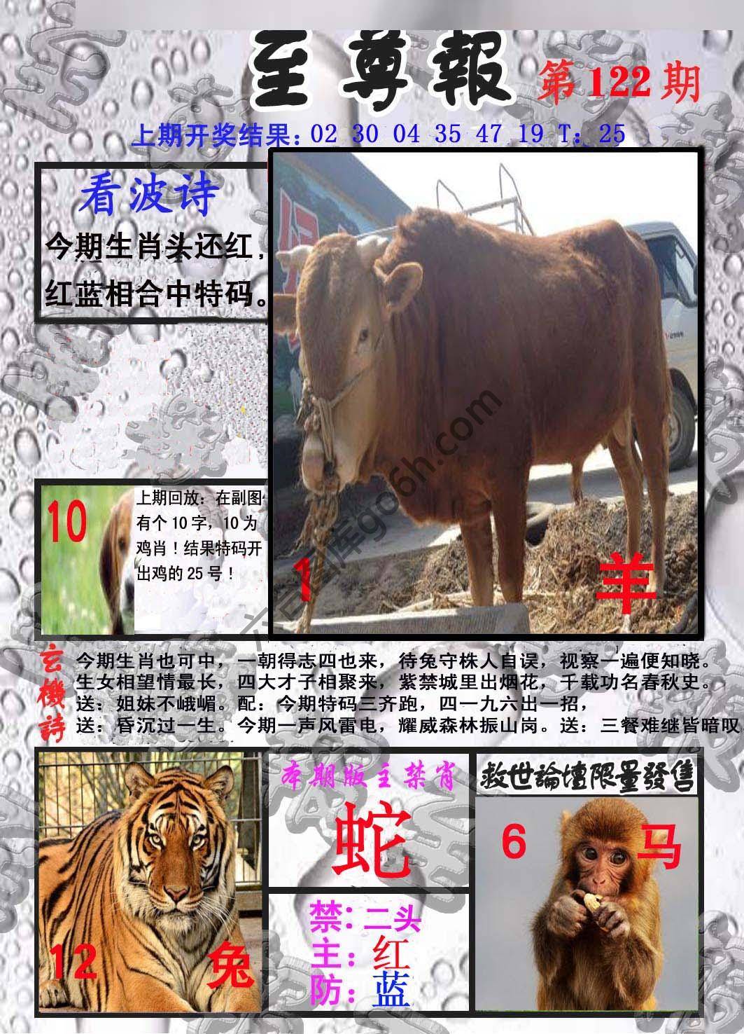 至尊报