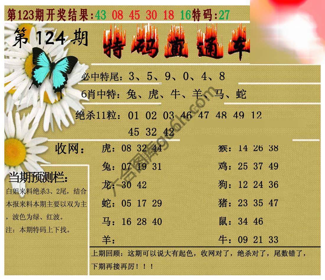 特码直通车