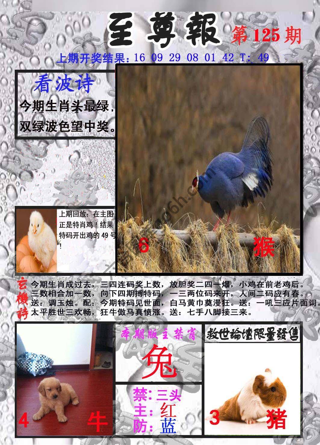 至尊报