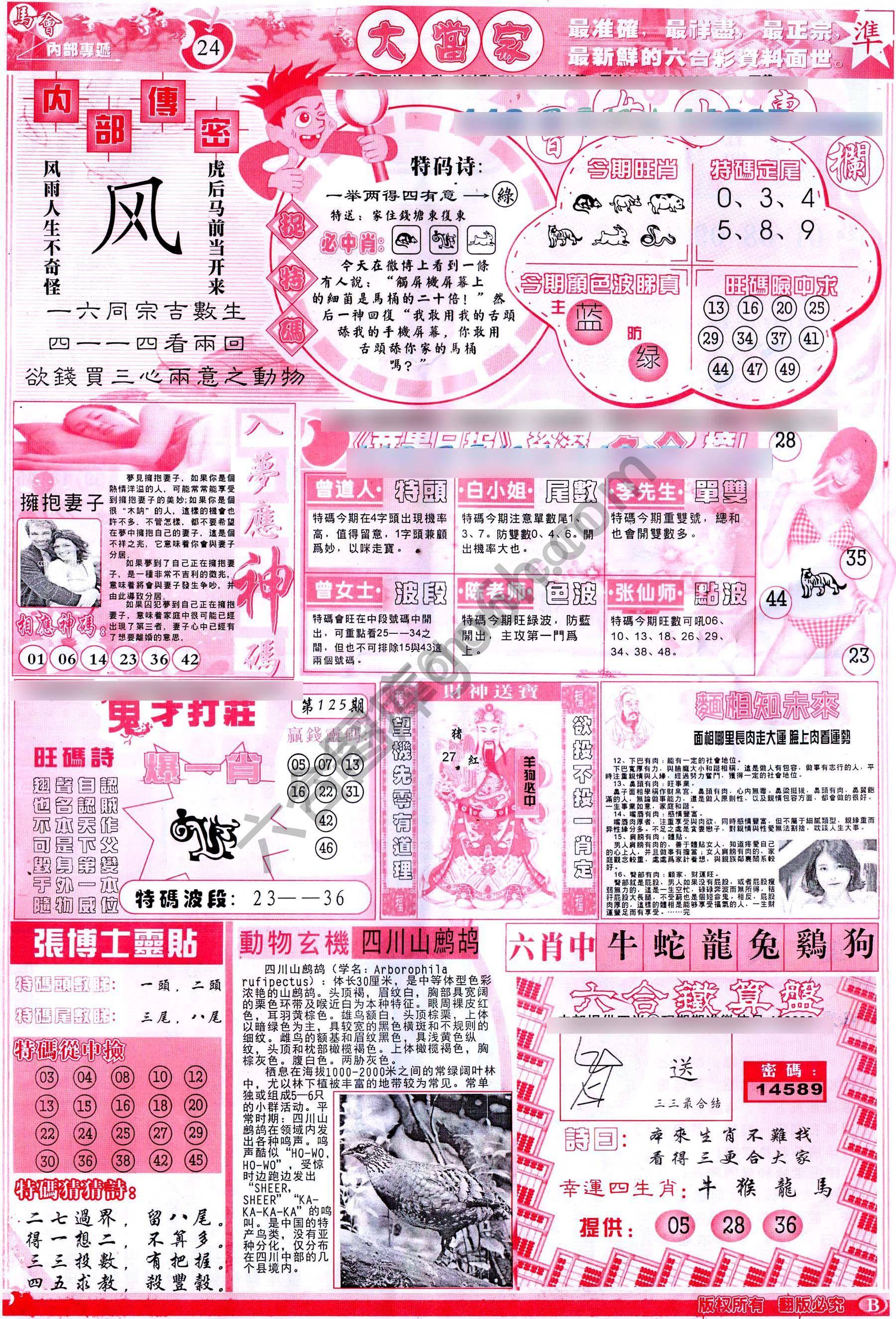 大当家