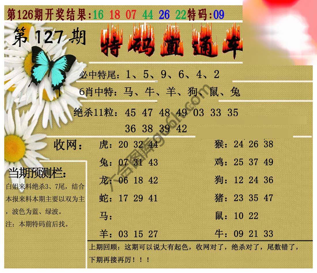 特码直通车