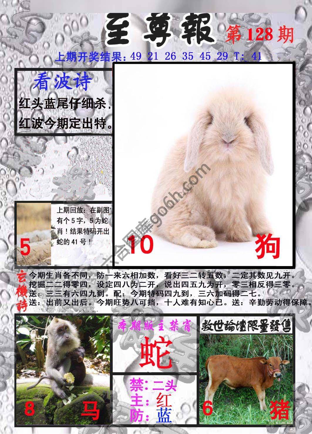 至尊报