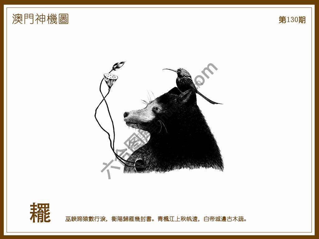 澳门神机图