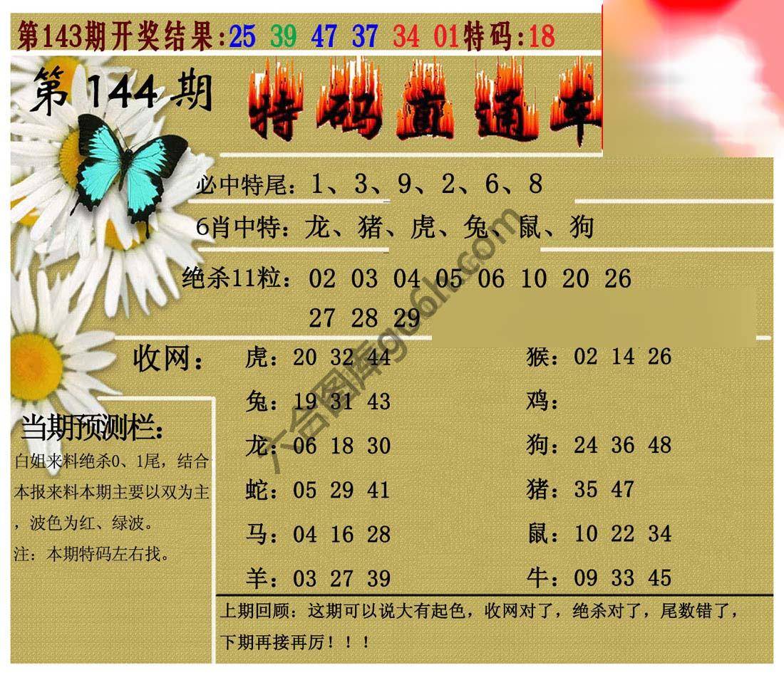 特码直通车